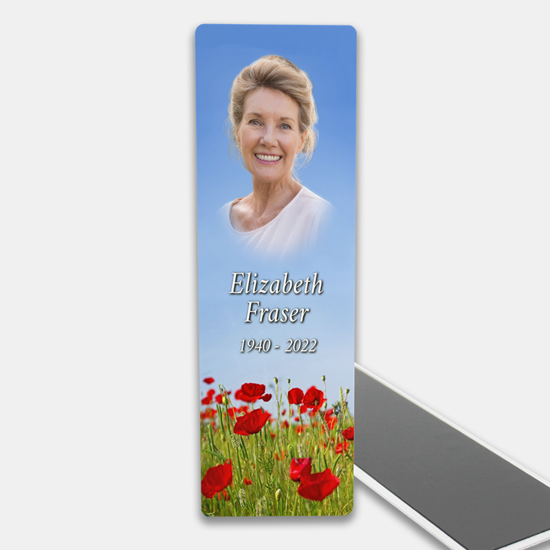 Souvenir 8